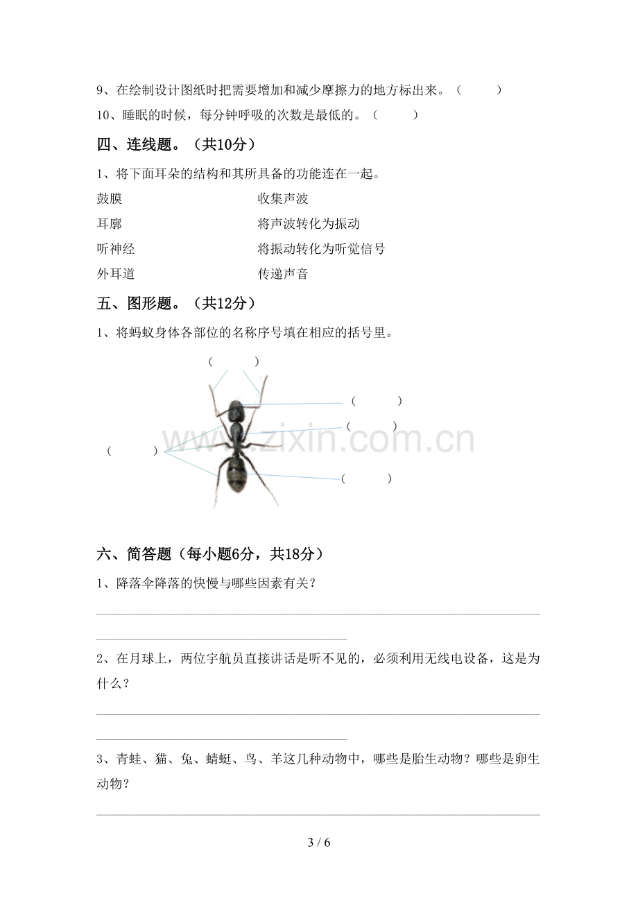 新教科版四年级科学下册期中测试卷(下载).doc_第3页