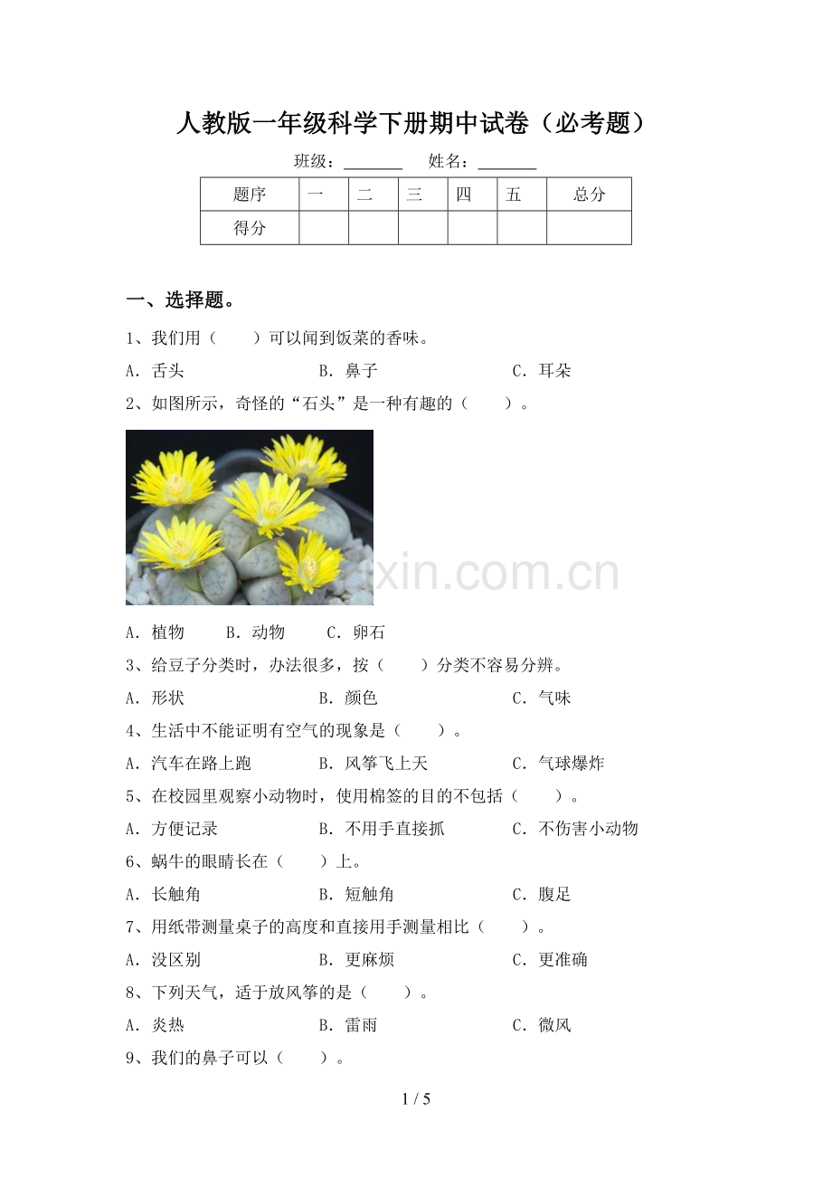 人教版一年级科学下册期中试卷(必考题).doc_第1页