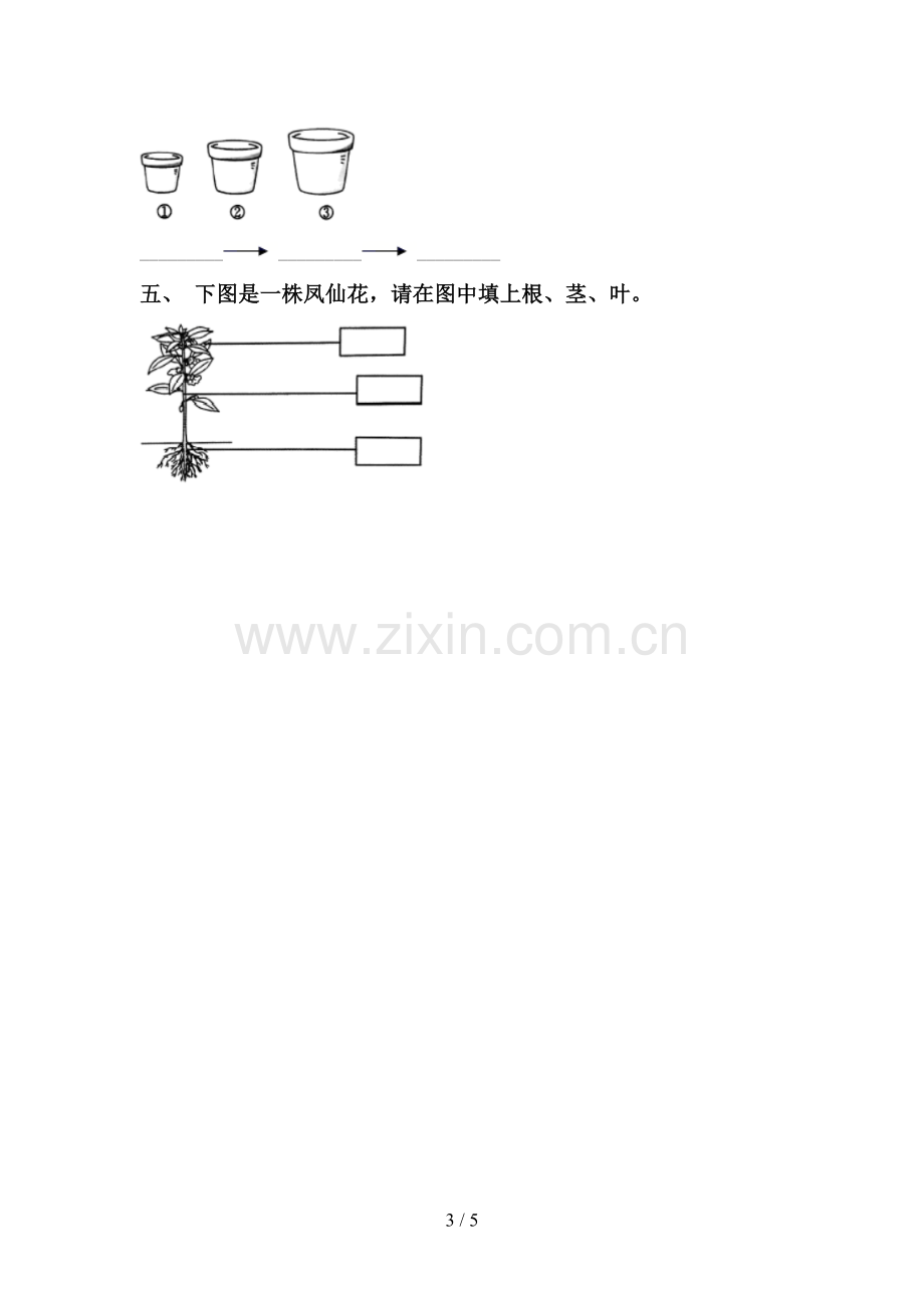 人教版一年级科学下册期中试卷(必考题).doc_第3页