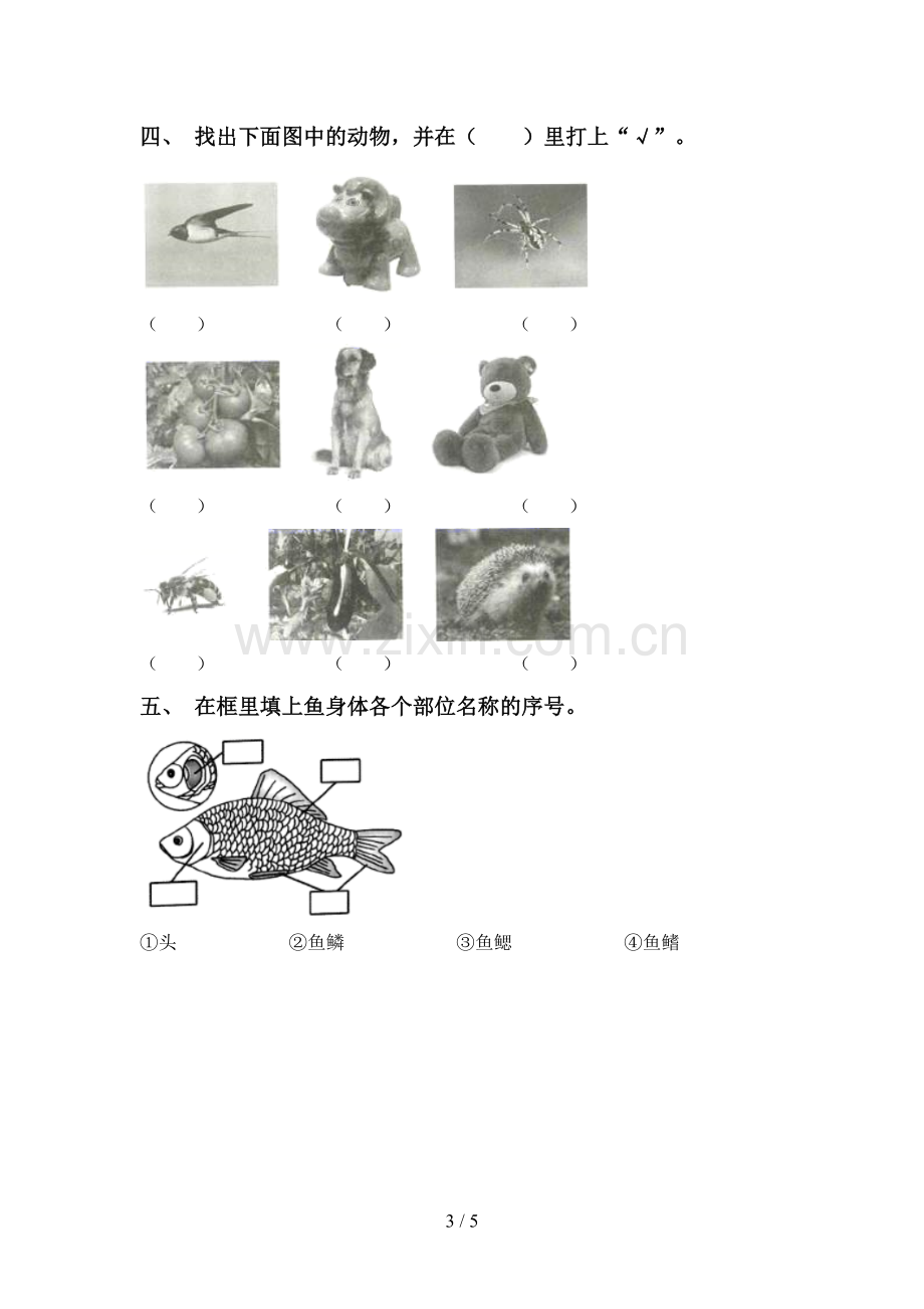 2022-2023年教科版一年级科学下册期中考试题(及参考答案).doc_第3页