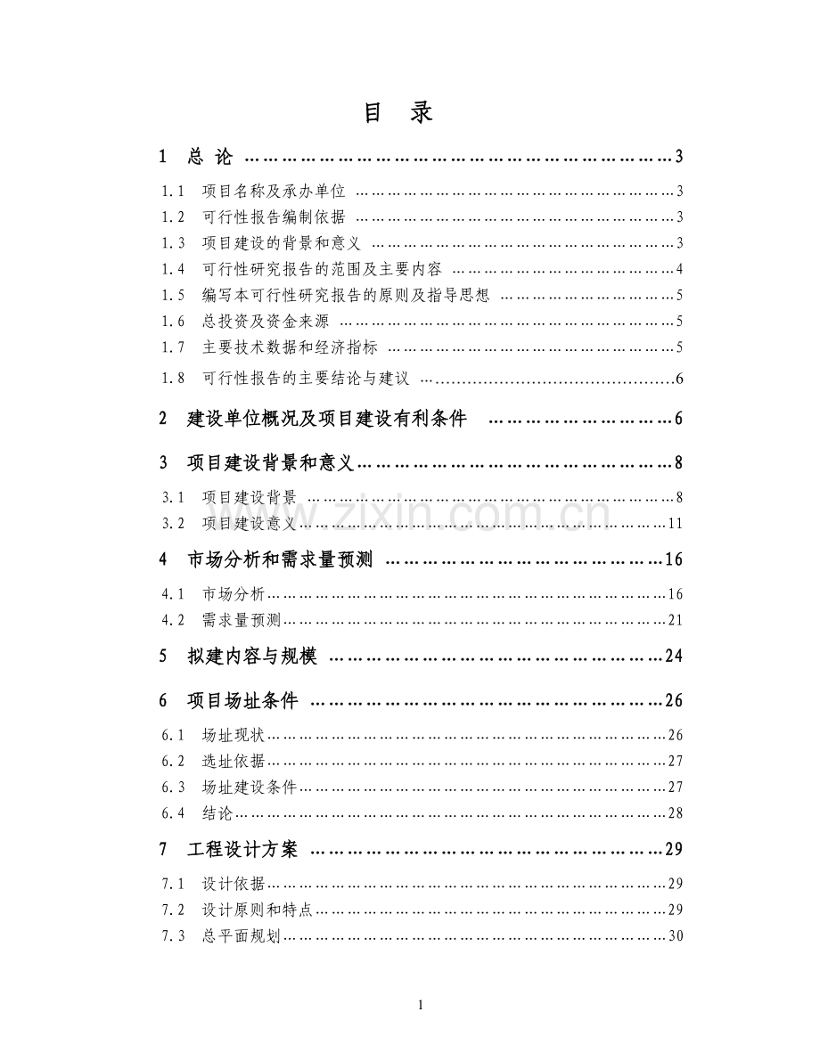 xxx码头项目可行性分析报告.doc_第1页