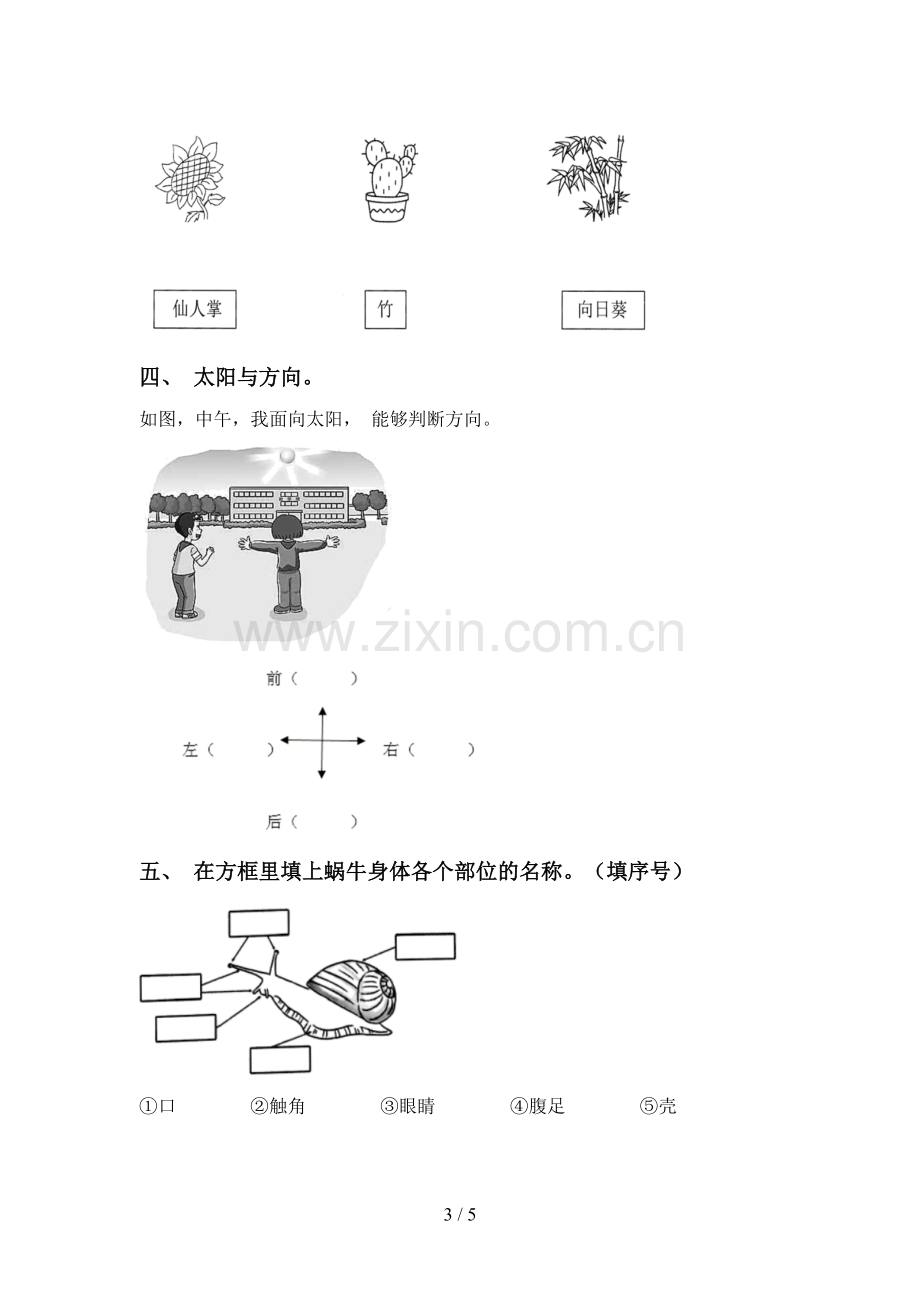 新人教版一年级科学下册期中考试题(通用).doc_第3页