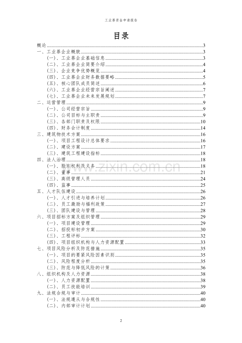 2024年工业萘项目资金申请报告.docx_第2页