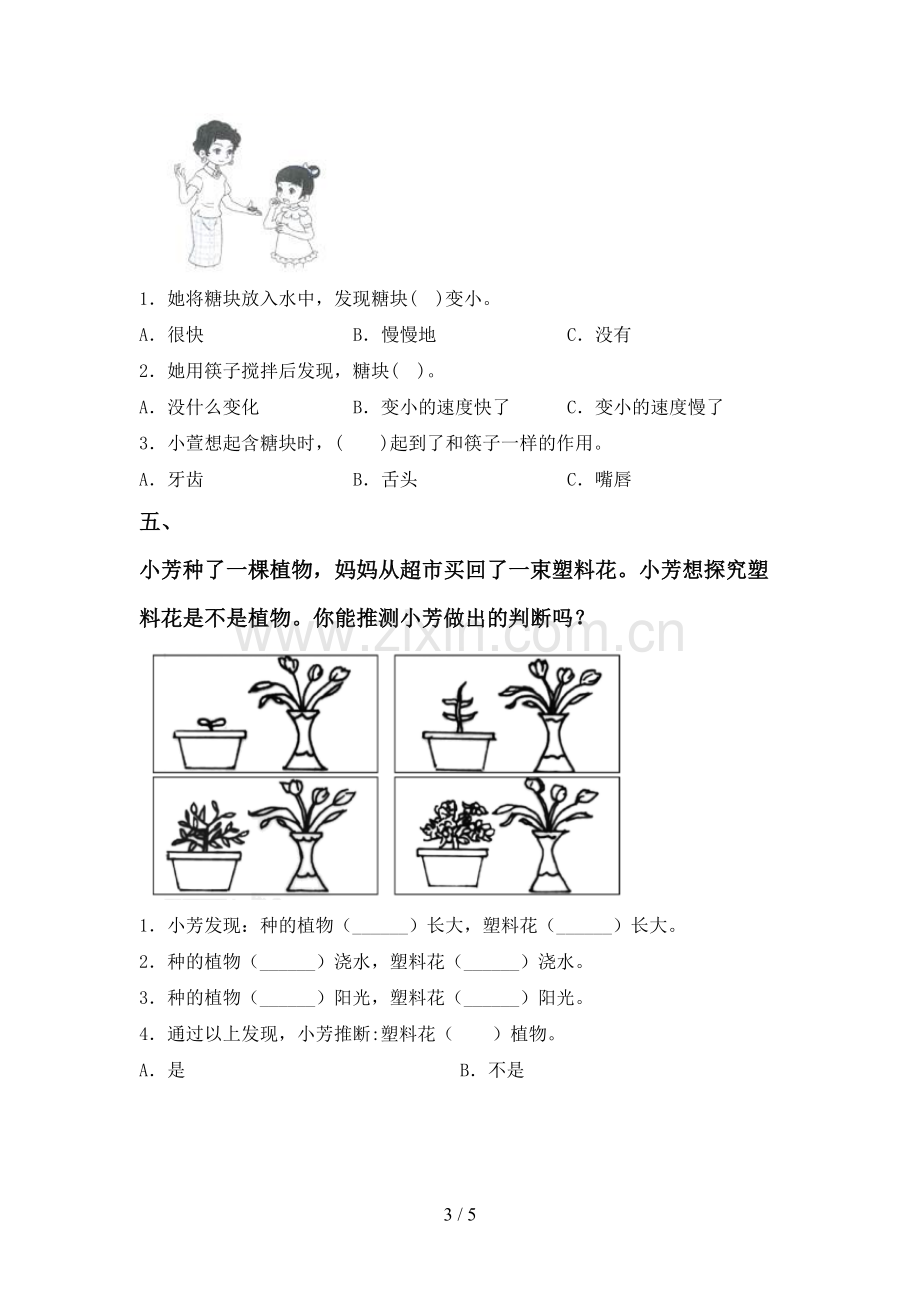 人教版一年级科学下册期中试卷(下载).doc_第3页