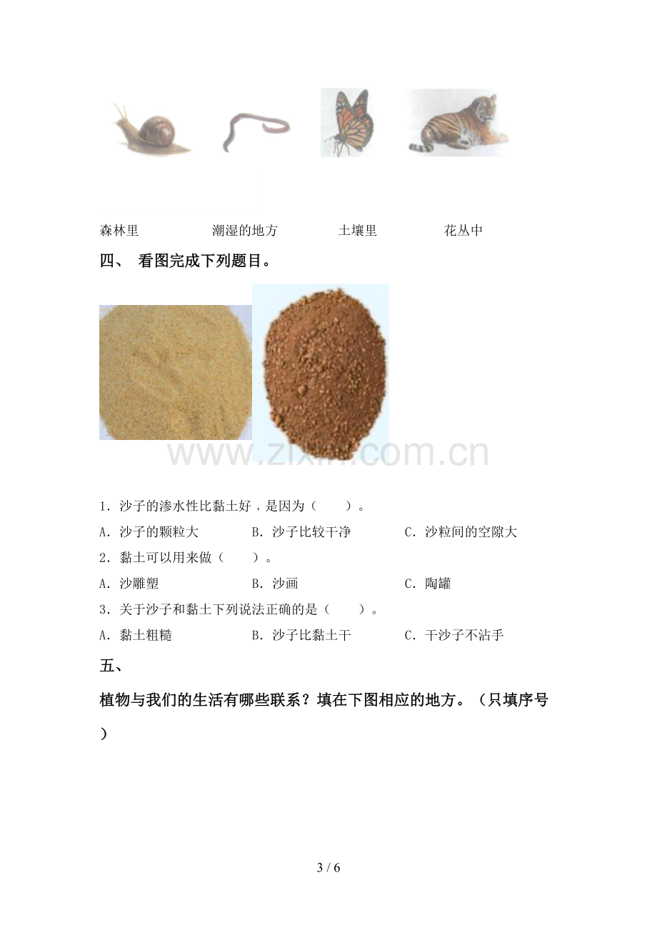 2022-2023年教科版一年级科学下册期中试卷(审定版).doc_第3页