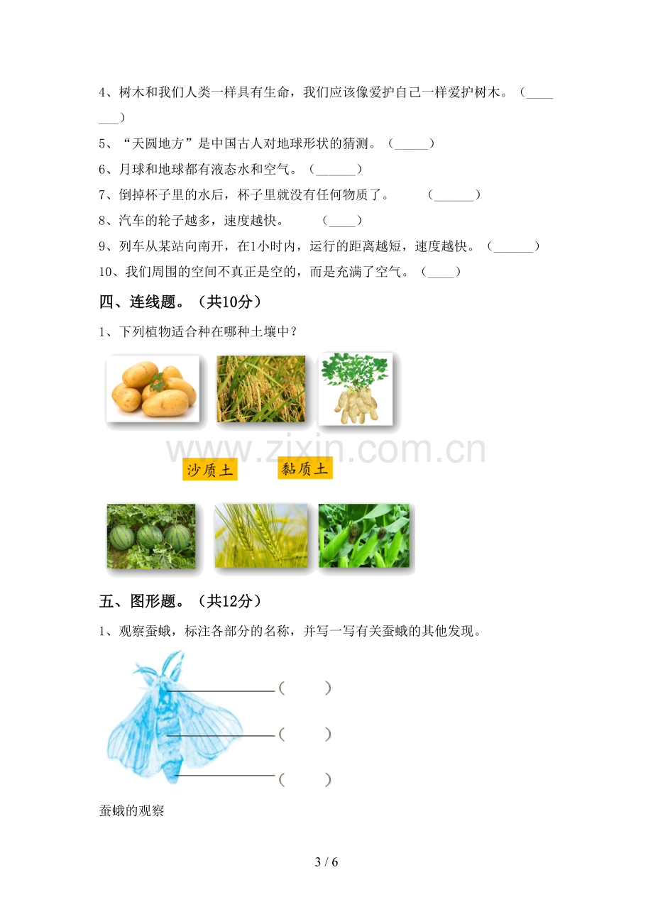 新教科版三年级科学下册期中测试卷及答案1套.doc_第3页