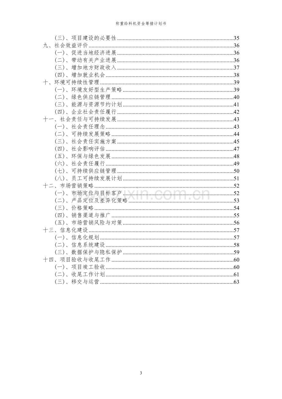 2023年称重给料机项目资金筹措计划书.docx_第3页