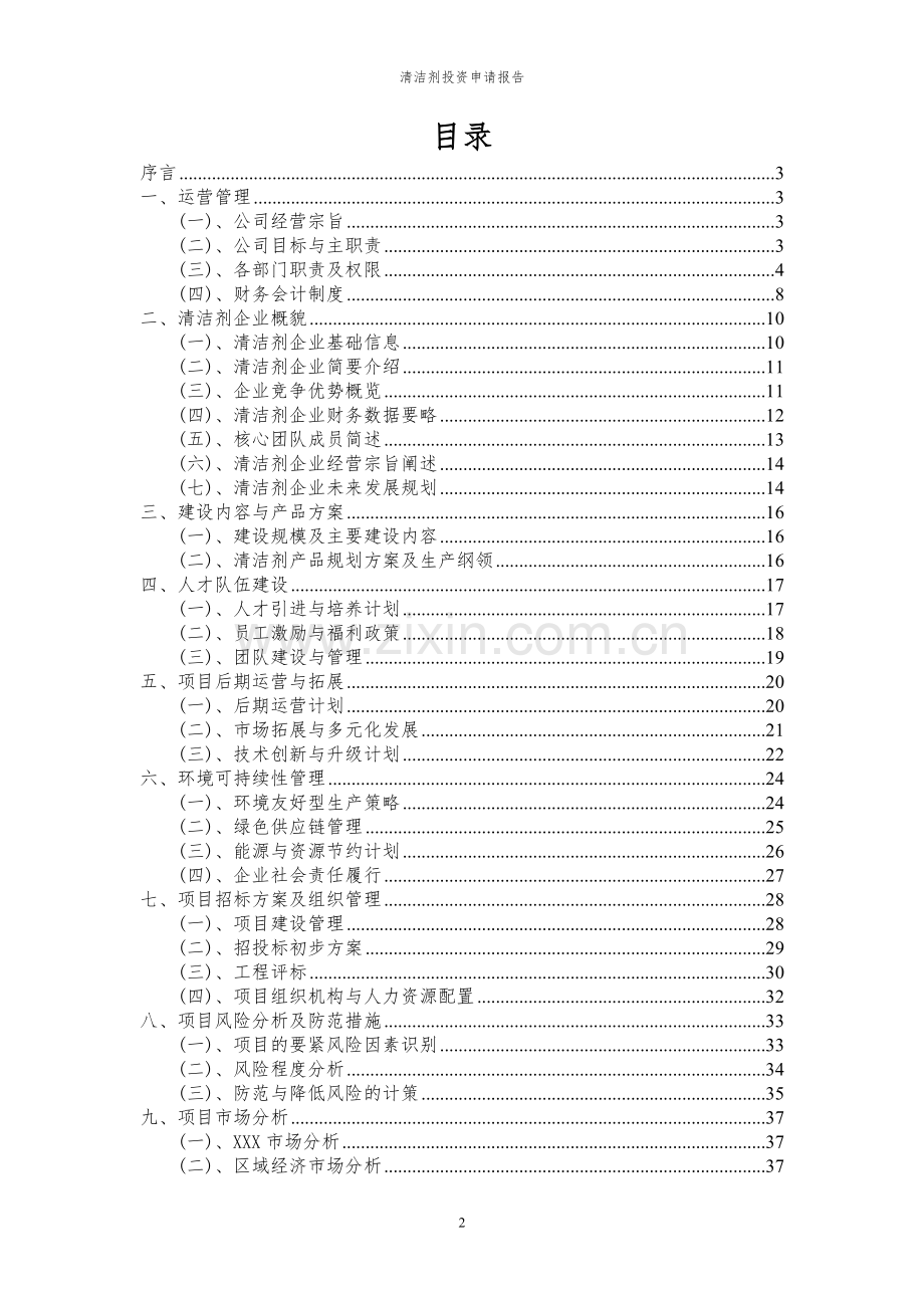 2023年清洁剂项目投资申请报告.docx_第2页