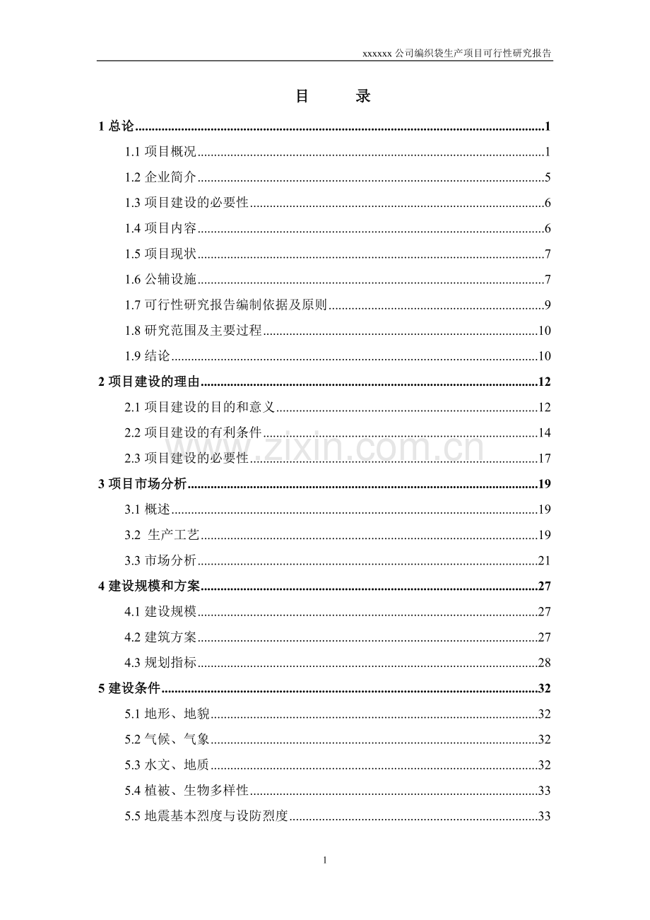 编织袋生产项目可行性建议书.doc_第1页