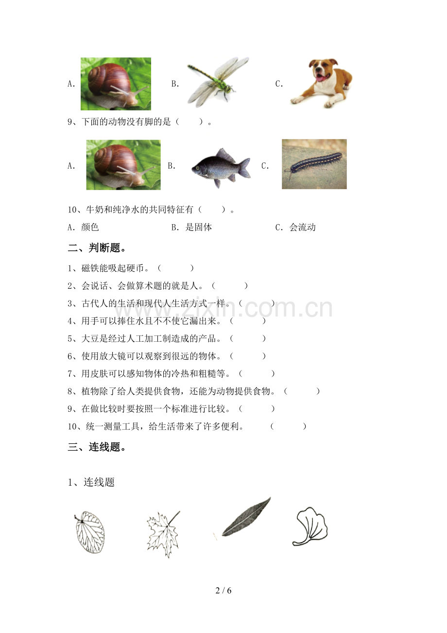 教科版一年级科学下册期中测试卷.doc_第2页