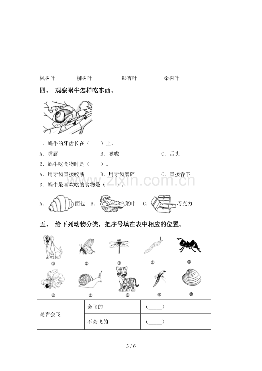 教科版一年级科学下册期中测试卷.doc_第3页