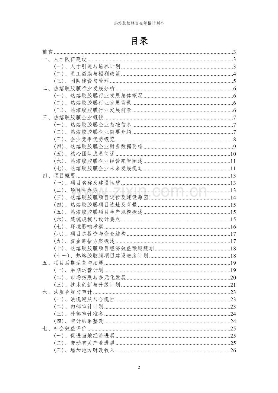 2024年热熔胶胶膜项目资金筹措计划书.docx_第2页