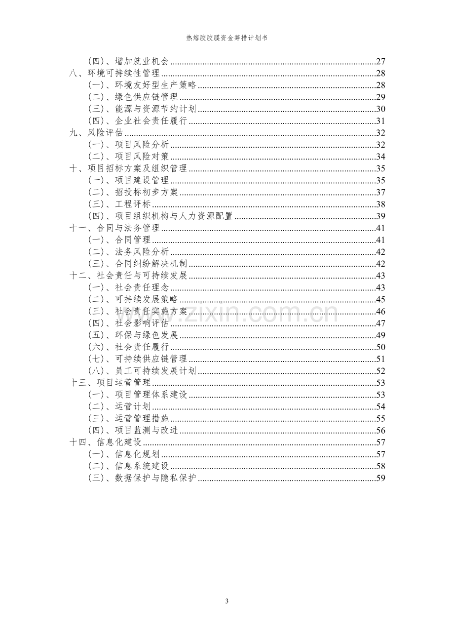 2024年热熔胶胶膜项目资金筹措计划书.docx_第3页