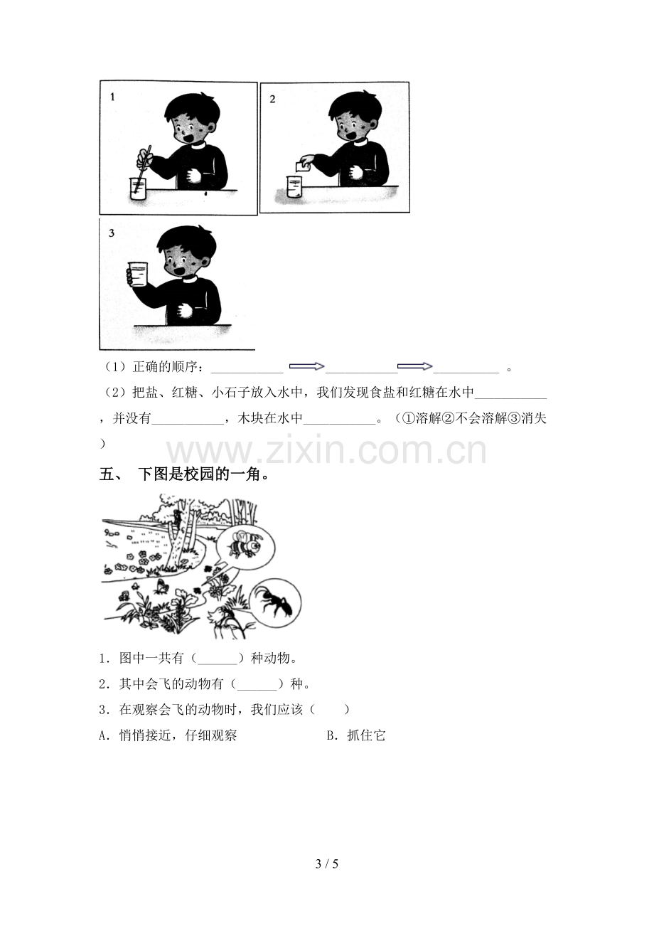 2023年教科版一年级科学下册期中测试卷及答案.doc_第3页