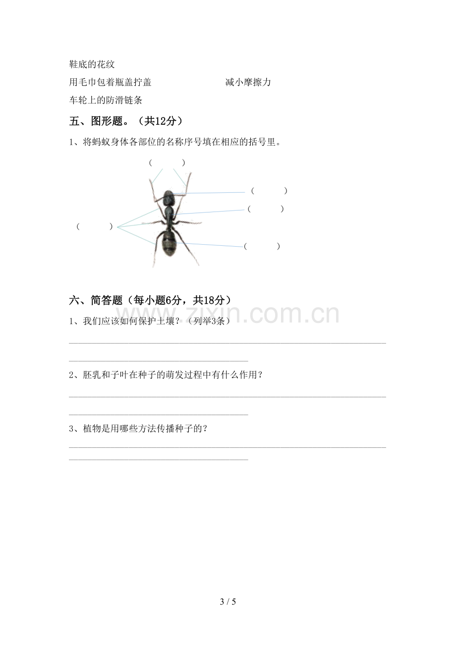 2023年人教版四年级科学下册期中测试卷(A4版).doc_第3页