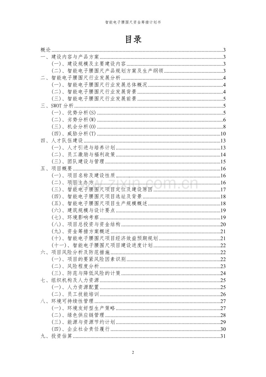 2023年智能电子腰围尺项目资金筹措计划书.docx_第2页