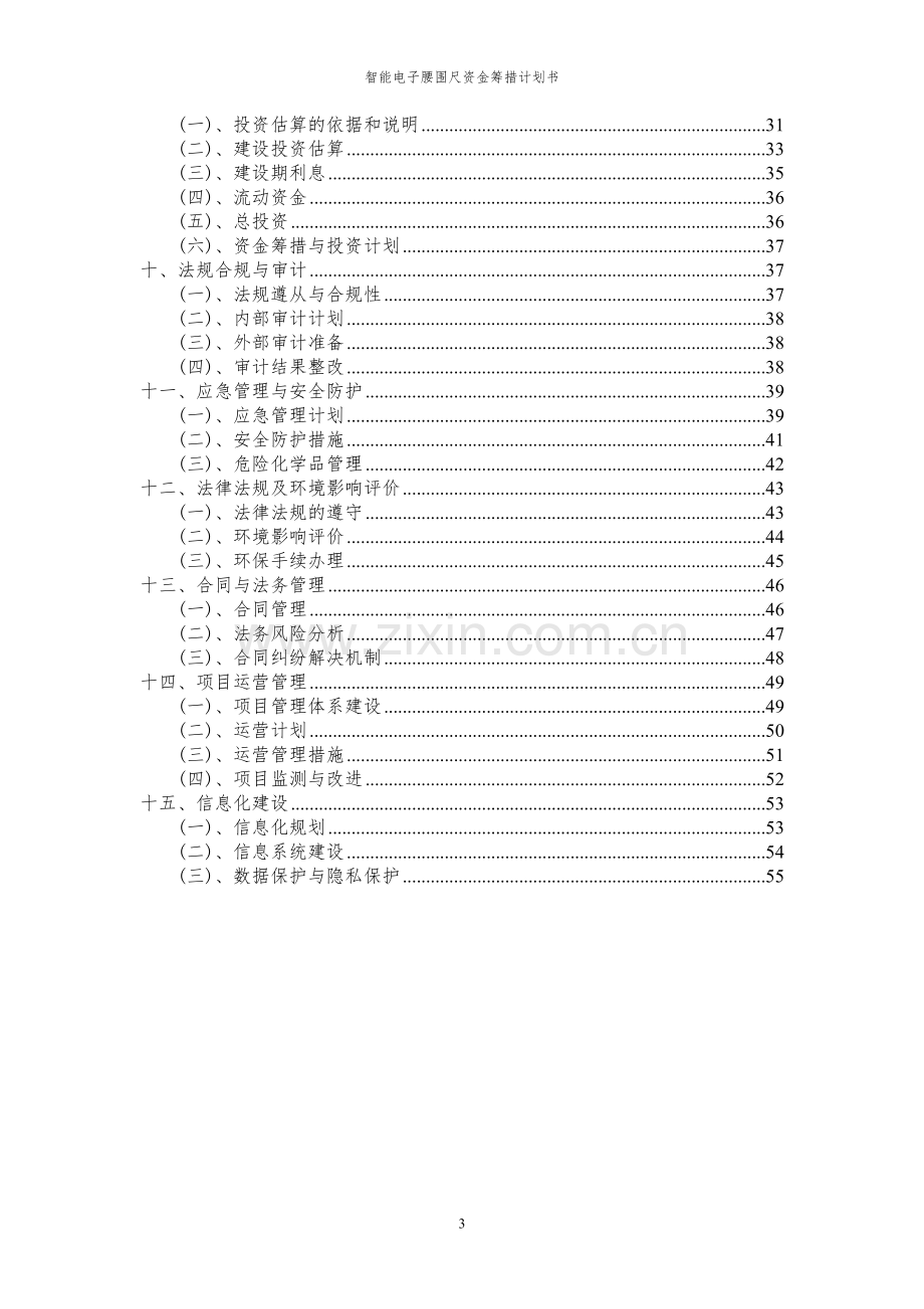 2023年智能电子腰围尺项目资金筹措计划书.docx_第3页