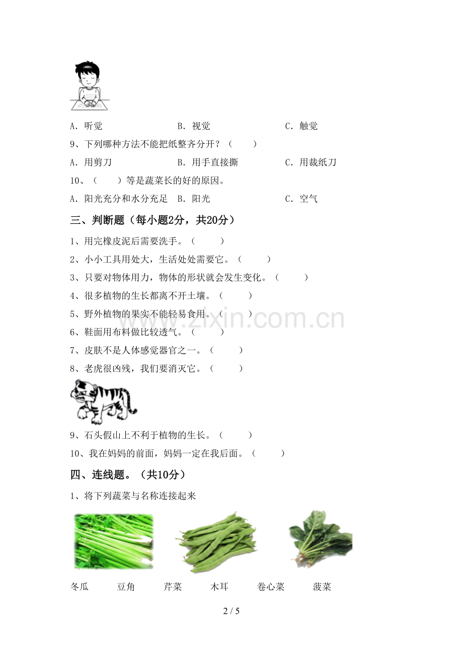 人教版二年级科学下册期中考试题【带答案】.doc_第2页