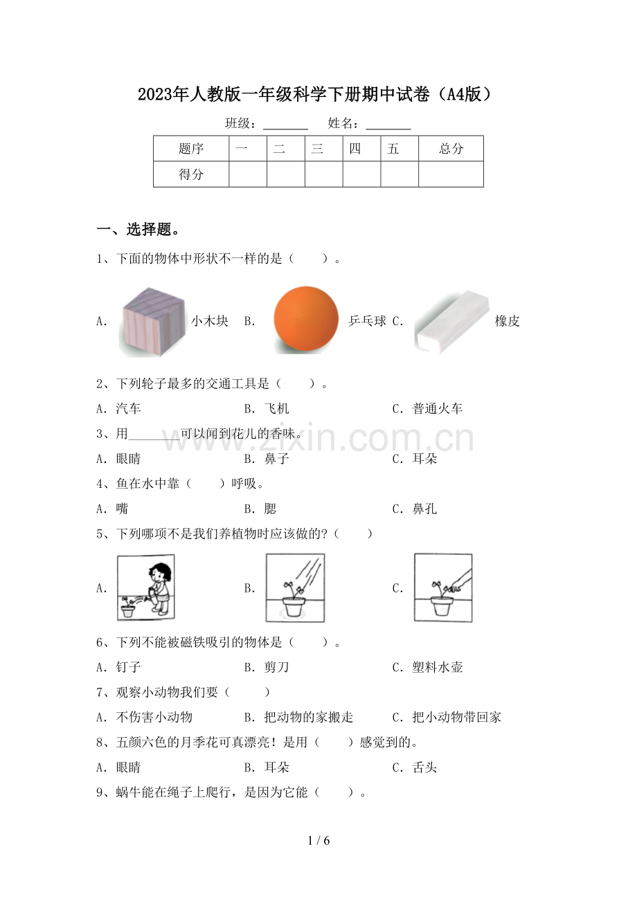 2023年人教版一年级科学下册期中试卷(A4版).doc_第1页