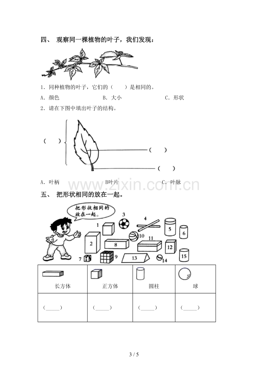 新人教版一年级科学下册期中试卷及答案【1套】.doc_第3页