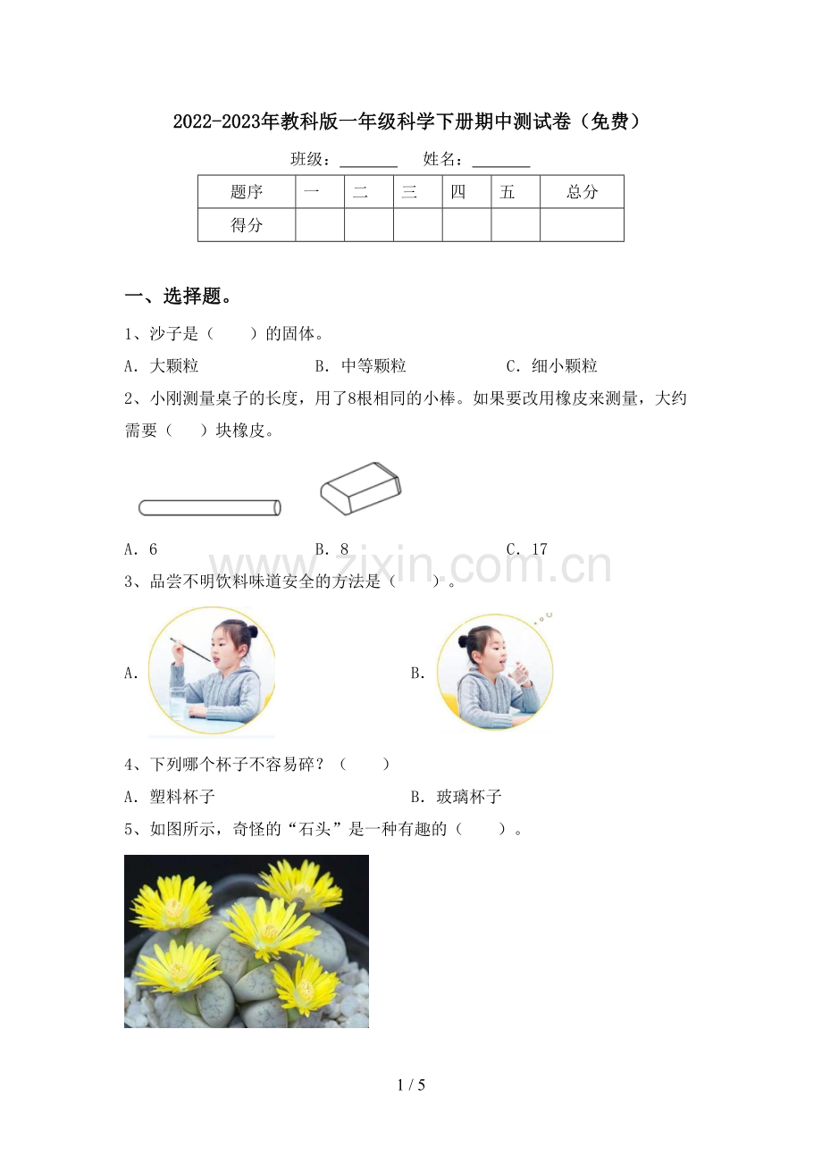 2022-2023年教科版一年级科学下册期中测试卷.doc_第1页