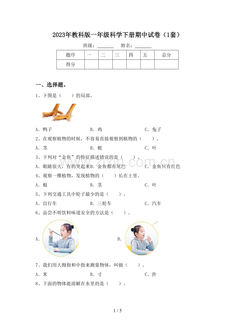 2023年教科版一年级科学下册期中试卷(1套).doc_第1页