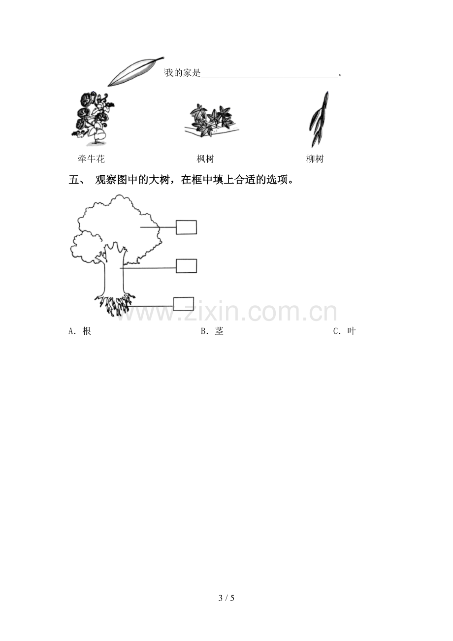 2023年教科版一年级科学下册期中试卷(1套).doc_第3页