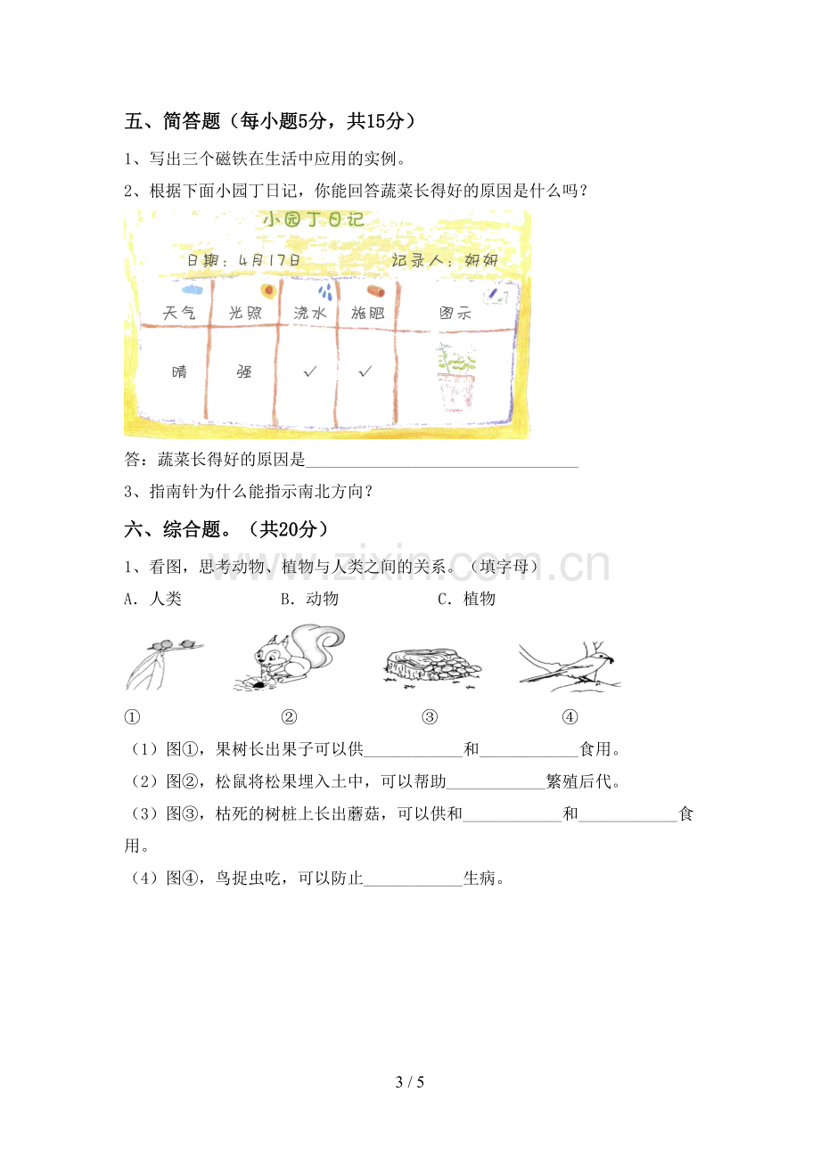 新教科版二年级科学下册期中试卷及答案1套.doc_第3页