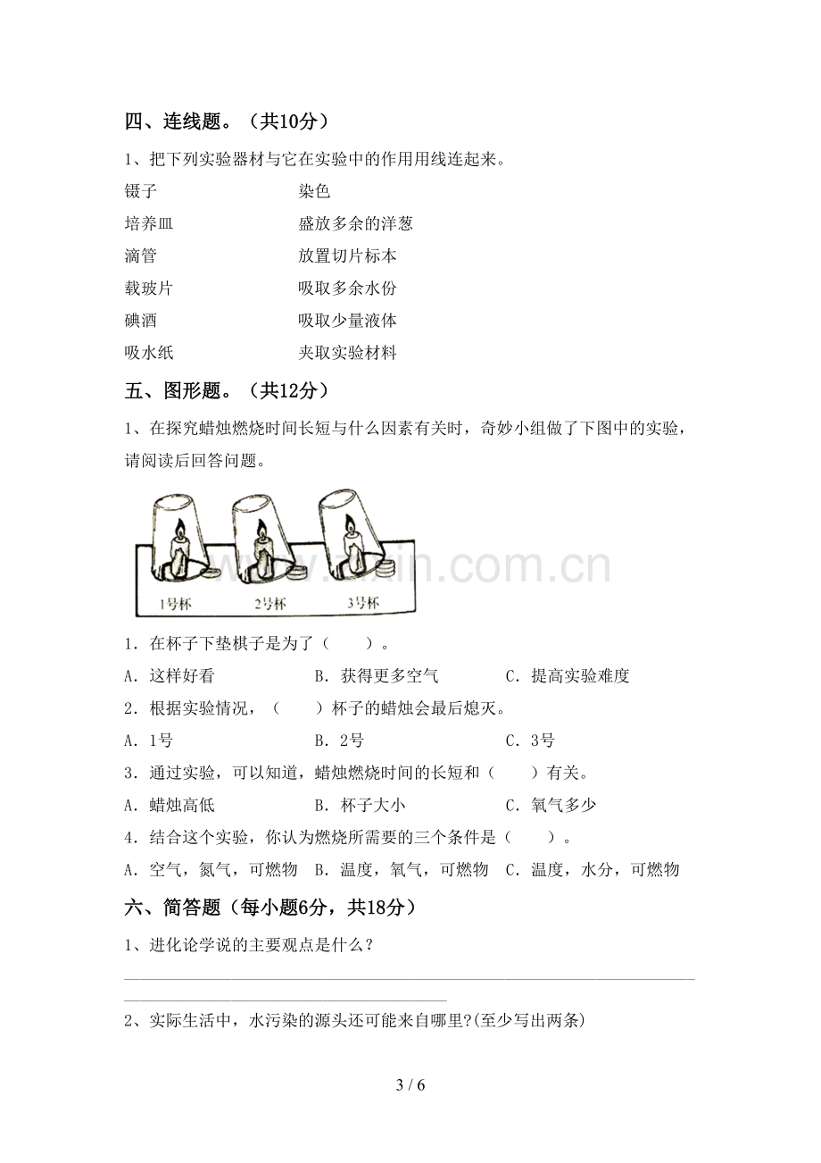 教科版六年级科学下册期中考试题(参考答案).doc_第3页