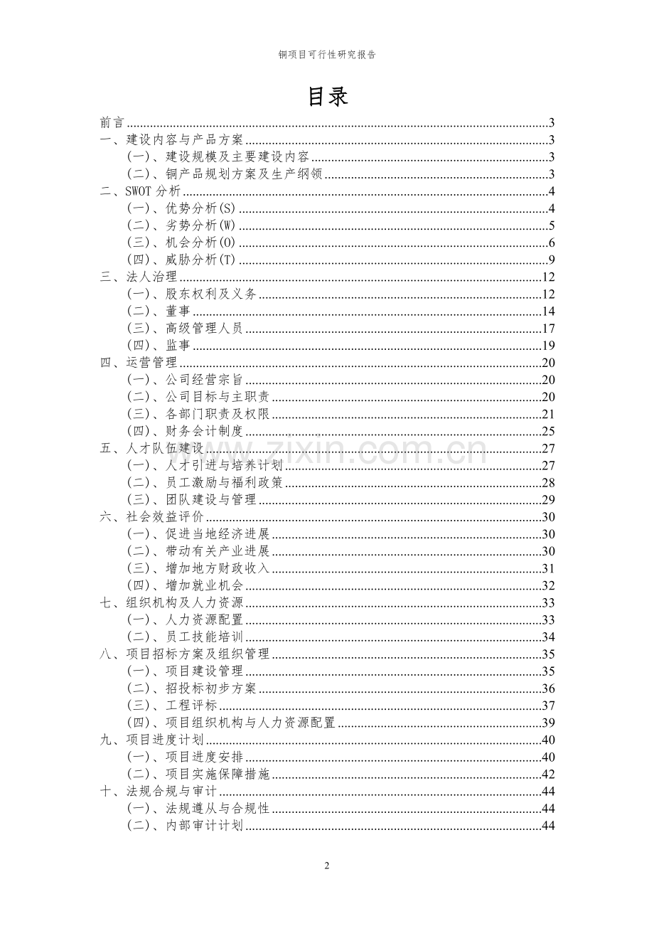 2024年铜项目可行性研究报告.docx_第2页