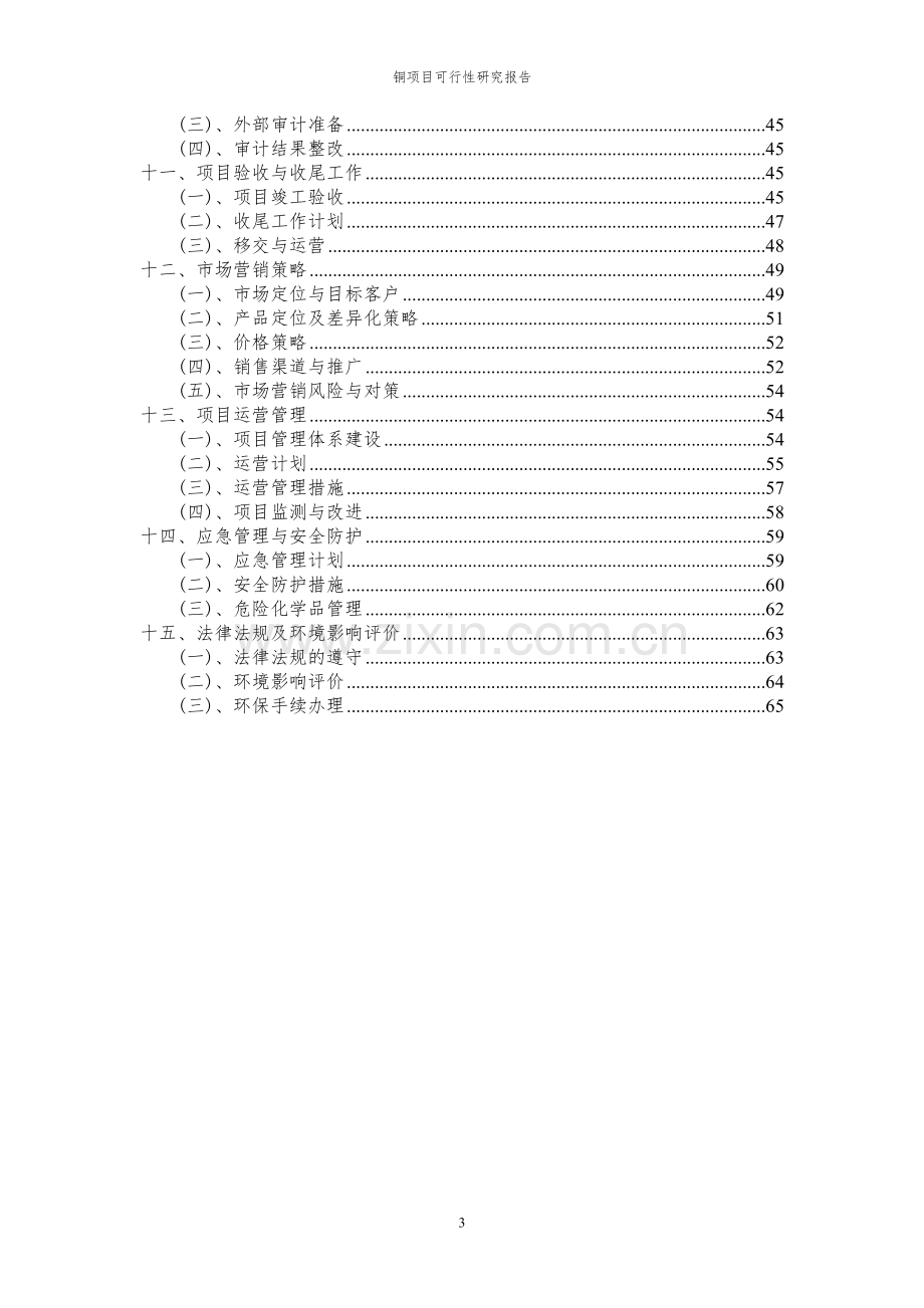 2024年铜项目可行性研究报告.docx_第3页