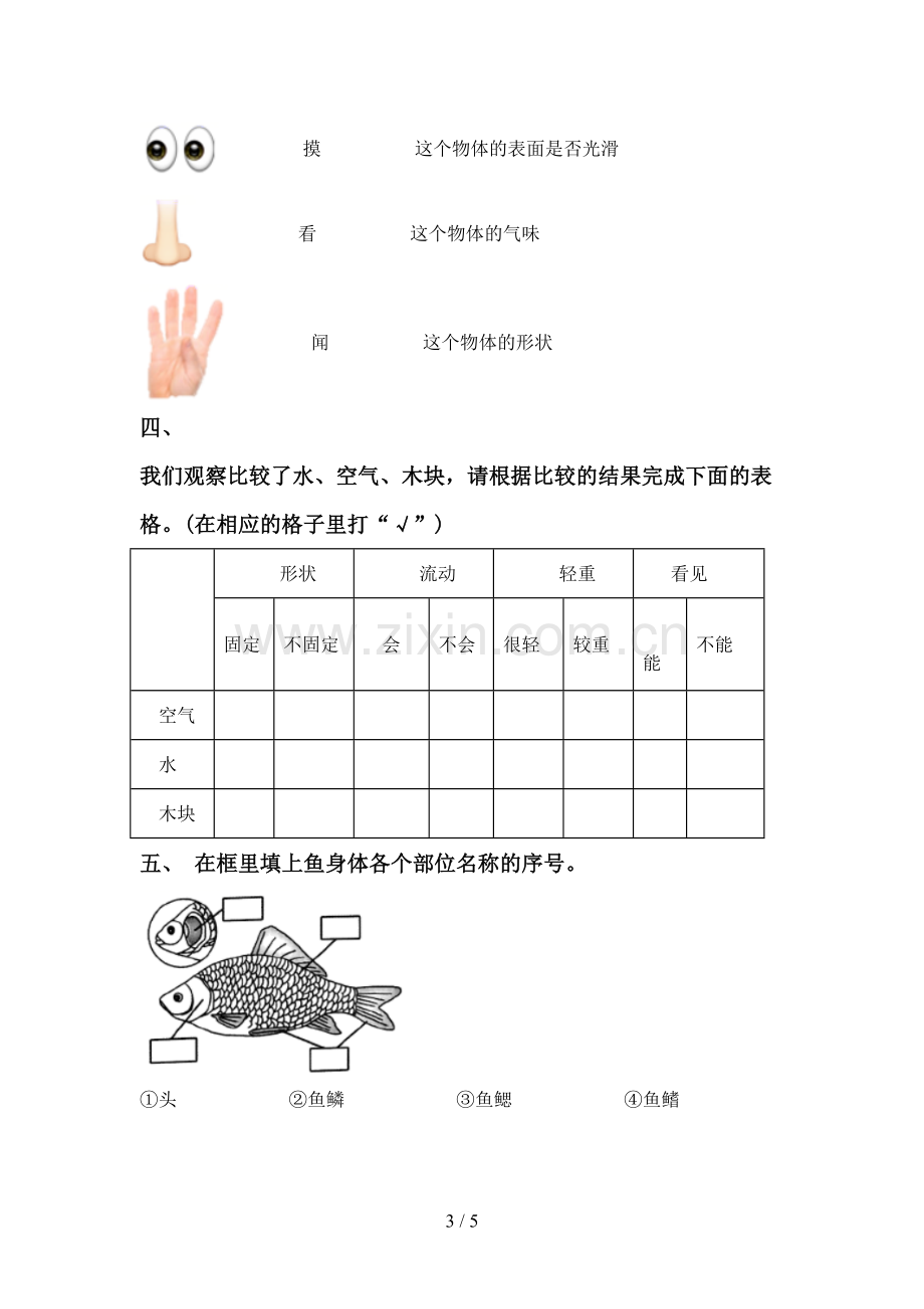 新人教版一年级科学下册期中考试卷(通用).doc_第3页