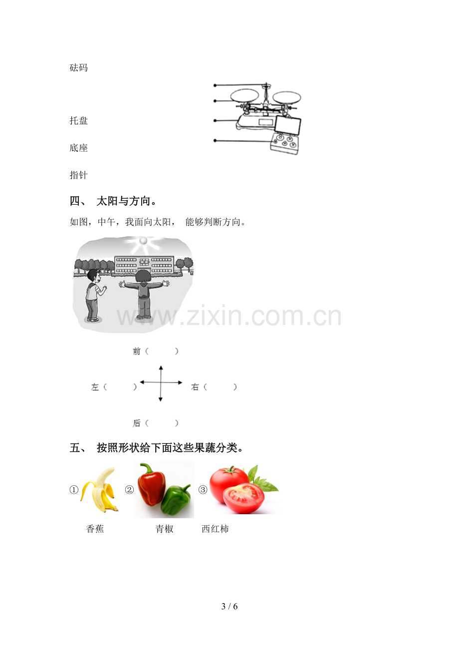 2023年人教版一年级科学下册期中考试卷附答案.doc_第3页