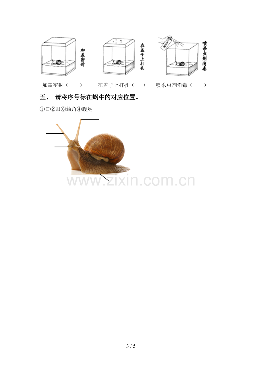 新人教版一年级科学下册期中考试题【参考答案】.doc_第3页