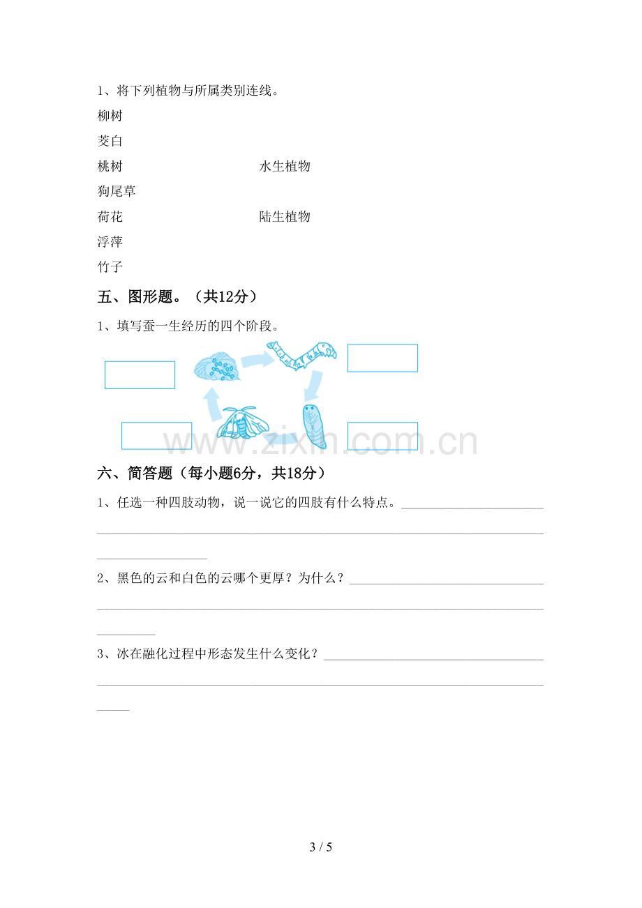 人教版三年级科学下册期中考试卷(1套).doc_第3页