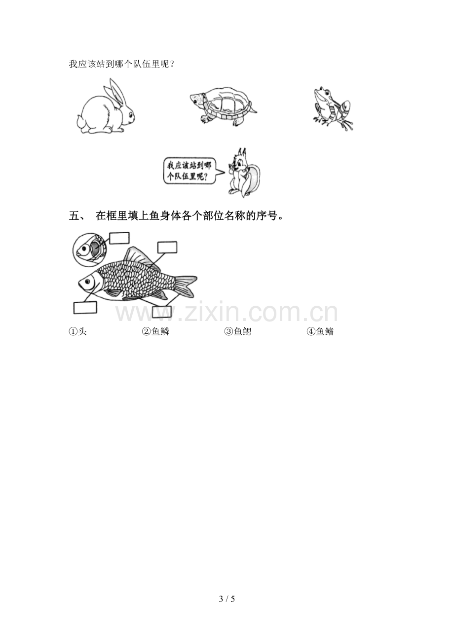 一年级科学下册期中测试卷加答案.doc_第3页