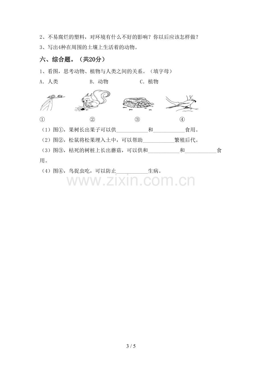 教科版二年级科学下册期中试卷及答案.doc_第3页