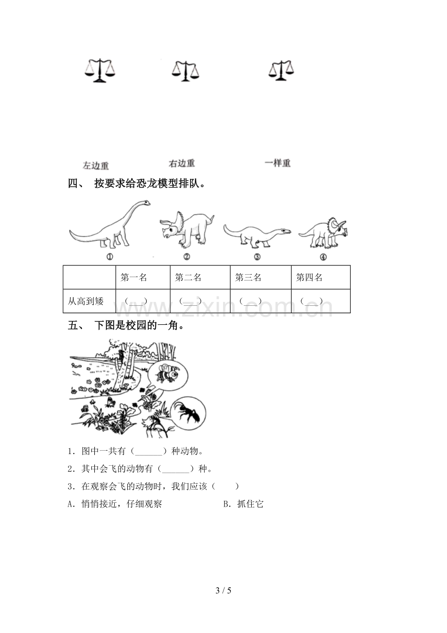 2023年教科版一年级科学下册期中测试卷加答案.doc_第3页