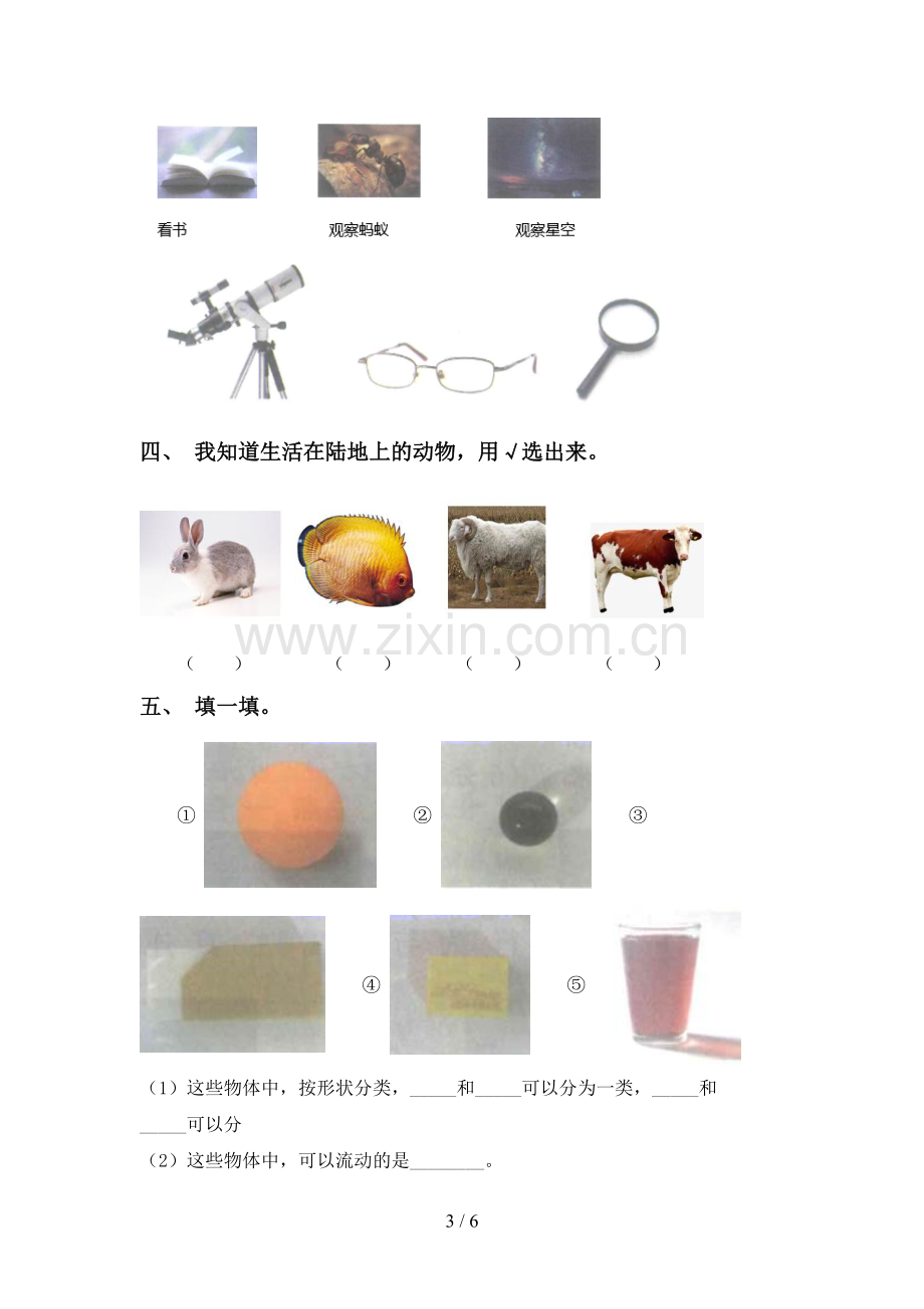 新教科版一年级科学下册期中考试题一.doc_第3页