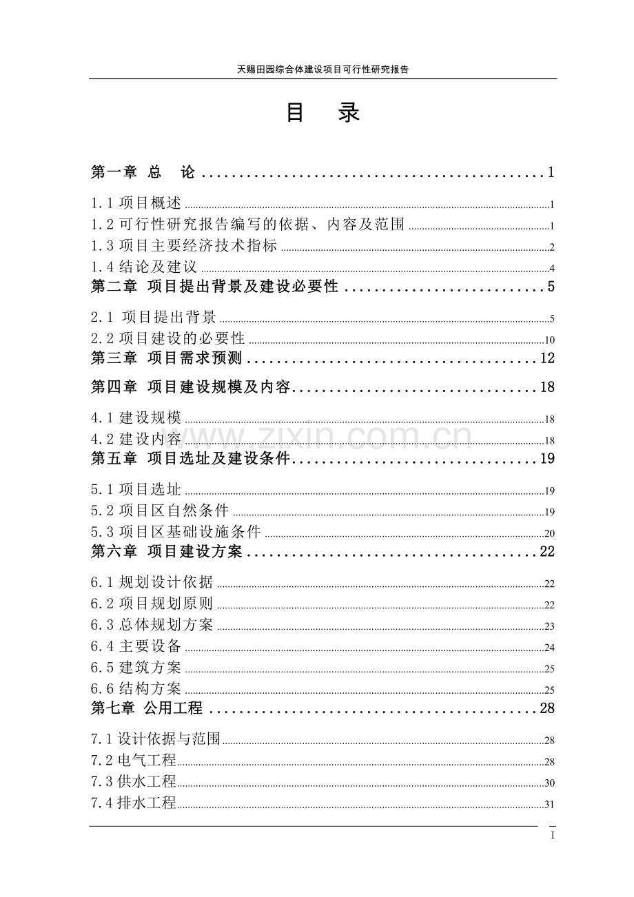 天赐田园综合体建设项目可行性研究报告.doc_第2页