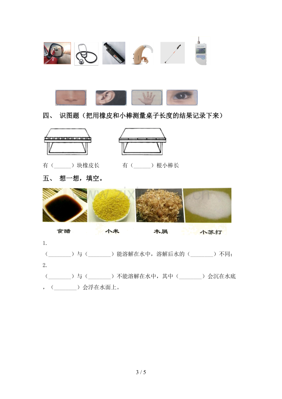 新人教版一年级科学下册期中考试卷(审定版).doc_第3页