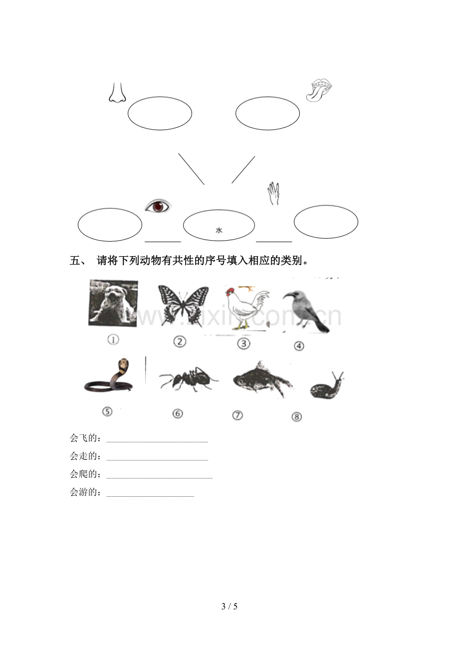 2022-2023年教科版一年级科学下册期中试卷.doc_第3页