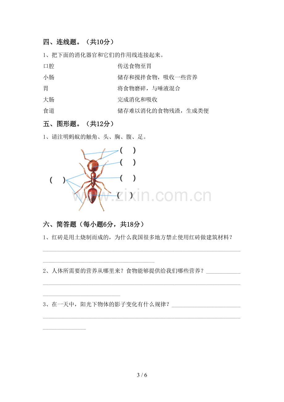 新人教版三年级科学下册期中考试题及答案【精编】.doc_第3页