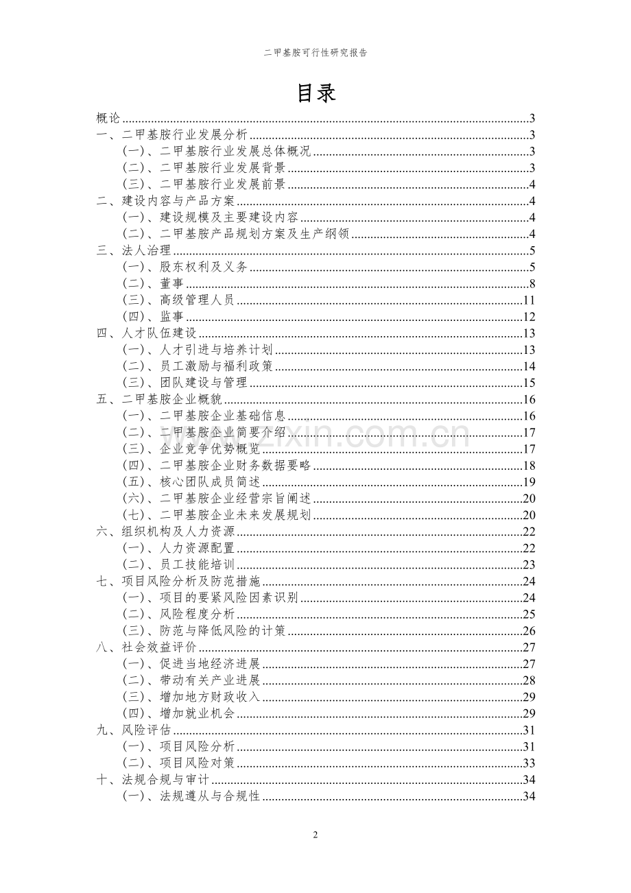 2023年二甲基胺项目可行性研究报告.docx_第2页