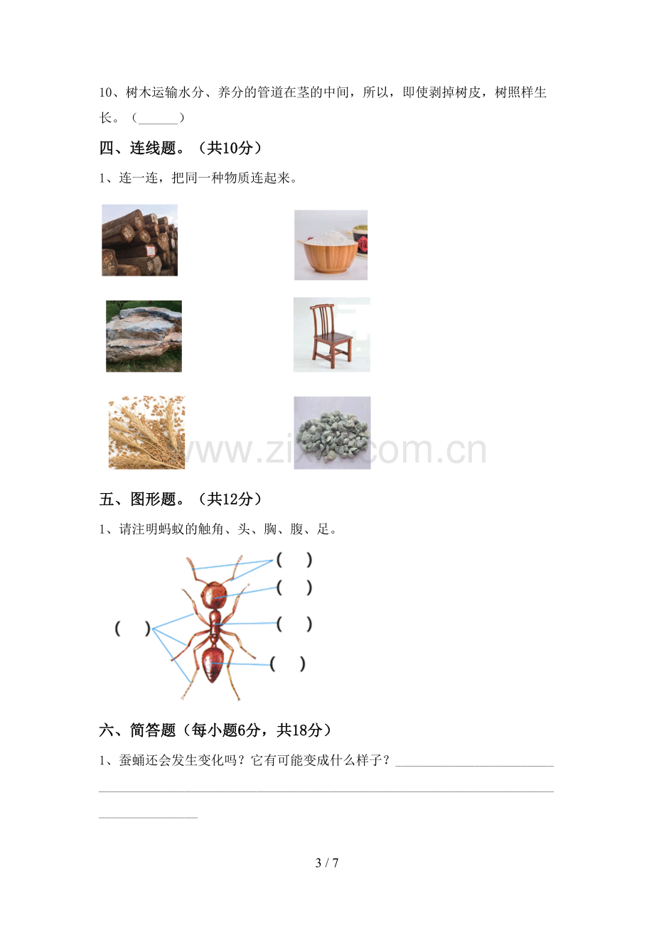 2023年教科版三年级科学下册期中测试卷及完整答案.doc_第3页