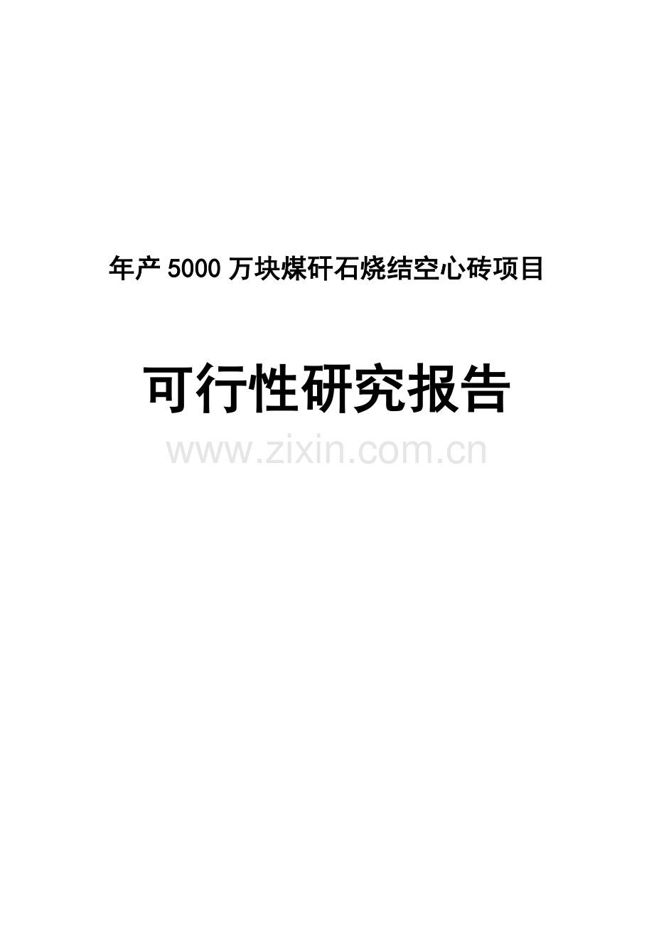 年产5000万块煤矸石烧结空心砖项目可行性论证报告.doc_第1页