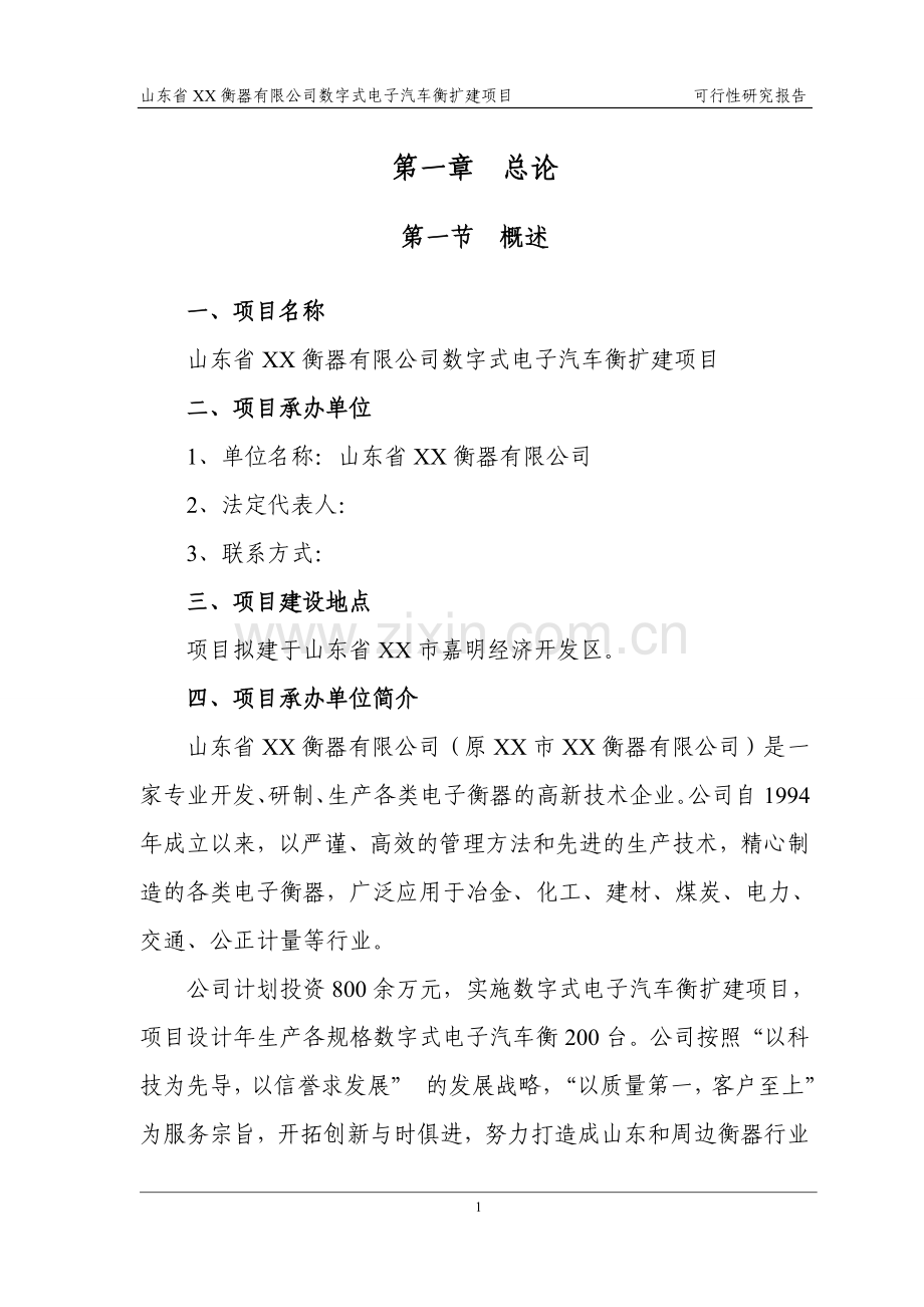 山东xxx数字式电子汽车衡项目可行性论证报告.doc_第3页