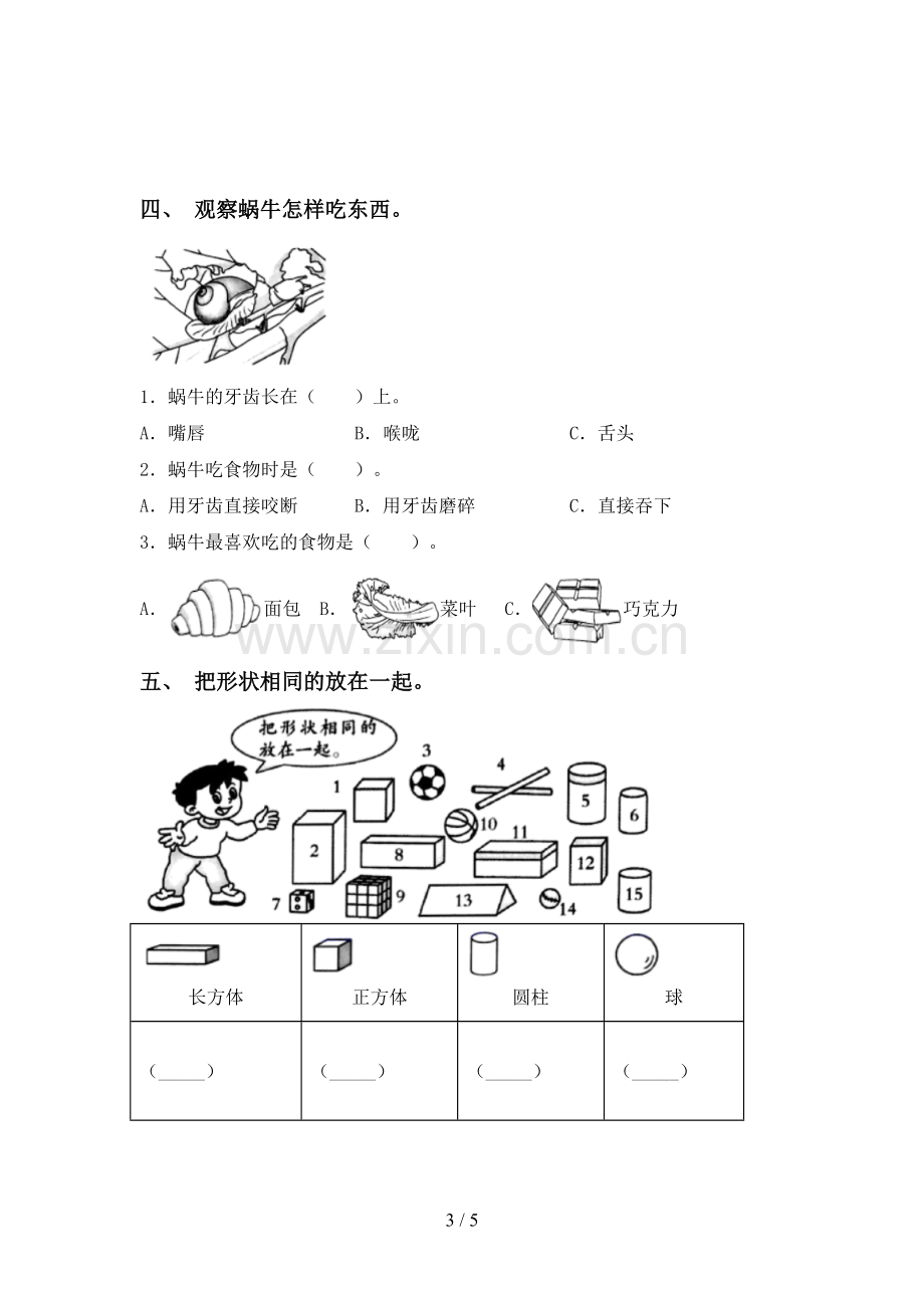 苏教版一年级科学下册期中考试题【及参考答案】.doc_第3页