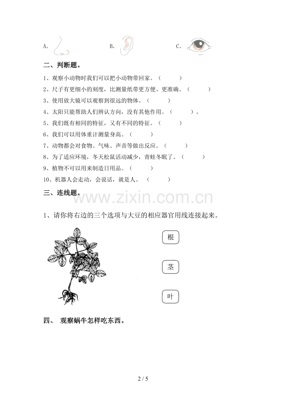 苏教版一年级科学下册期中考试题及答案【通用】.doc_第2页