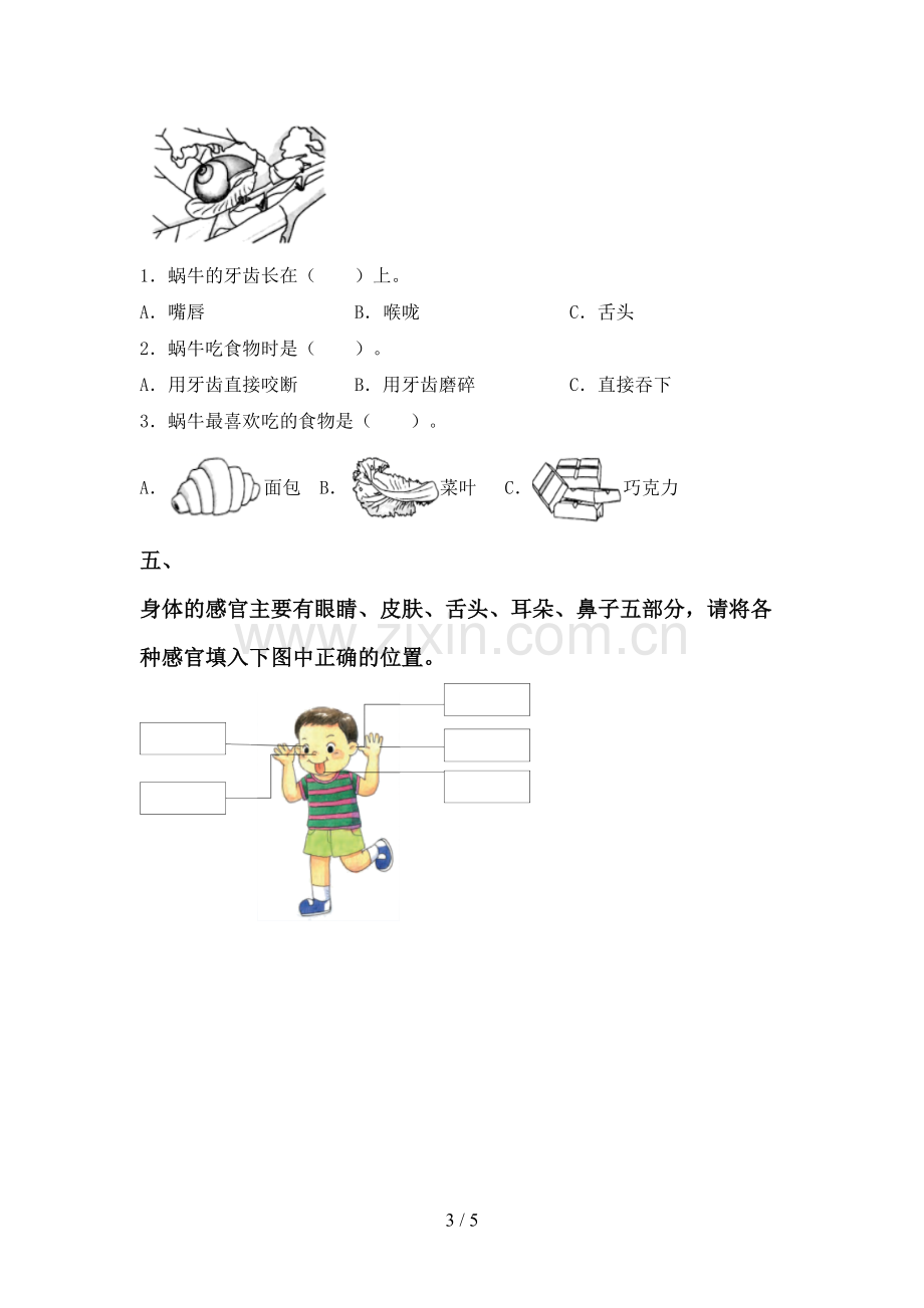 苏教版一年级科学下册期中考试题及答案【通用】.doc_第3页